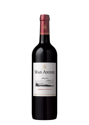 Mas Andes Cabernet Sauvignon 75Cl